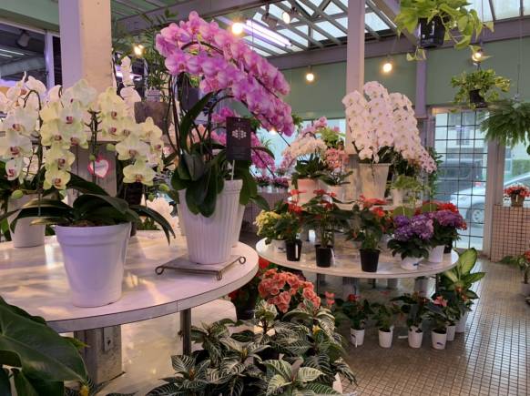 埼玉県さいたま市岩槻区の花屋 グリーンショップ クワノにフラワーギフトはお任せください 当店は 安心と信頼の花キューピット加盟店です 花キューピットタウン